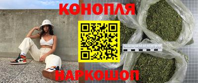 стаф Краснодар