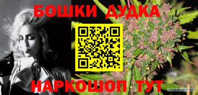 индика Краснокаменск