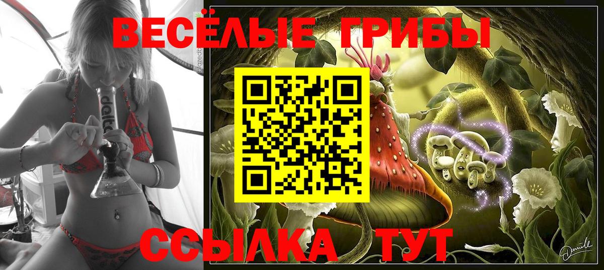 Псилоцибиновые грибы Psilocybe  Вход с VPN  Фурманов 