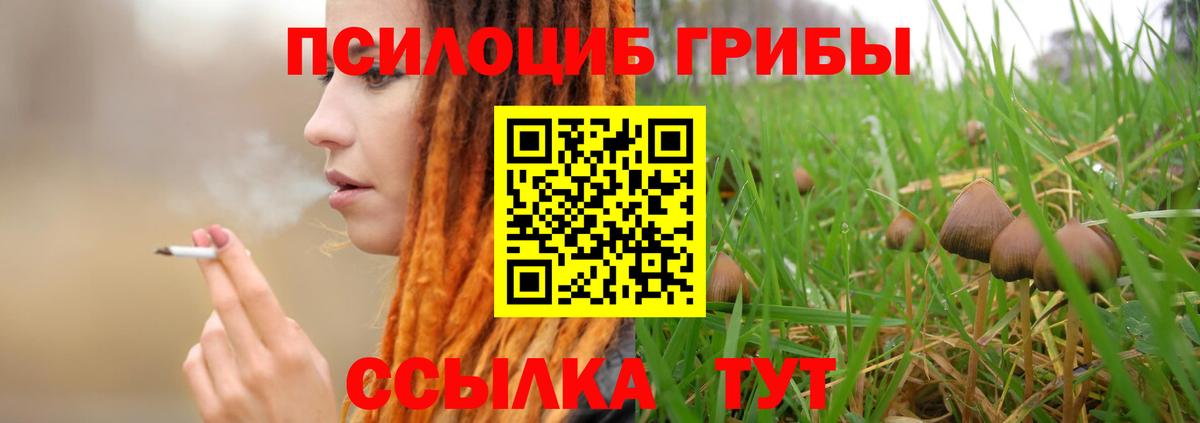 Галлюциногенные грибы Psilocybe Фурманов